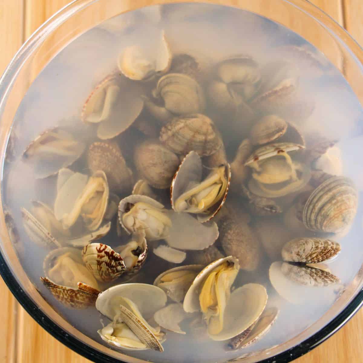 Clams soaking in water to remove sand and impurities before cooking.