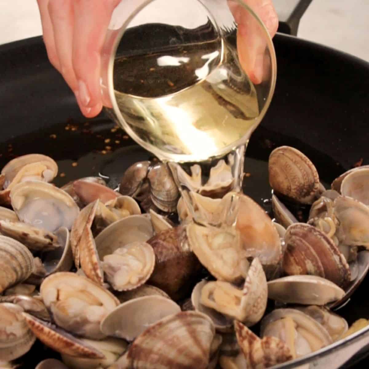 Seafood being cooked with white wine in a skillet, perfect for Italian seafood for Italian recipes.